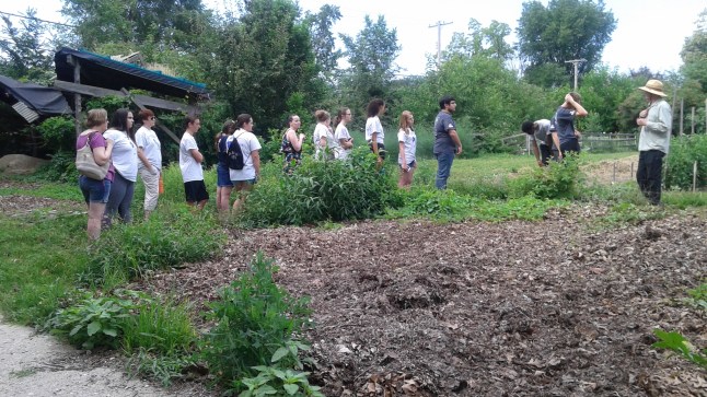 Earthworks farm1.jpg